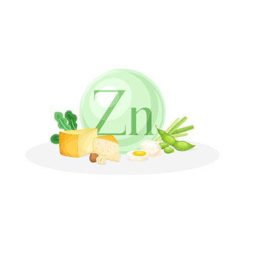 The Role of Zinc in Testosterone Production