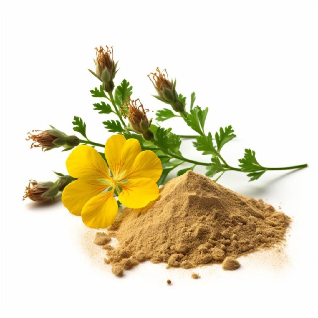 Unveiling the Potent Benefits of Tongkat Ali